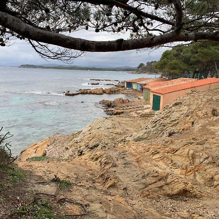 T2 Climatise A L'Ile D'Or Avec Piscine Pres De La Plage La Londe-les-Maures Eksteriør billede